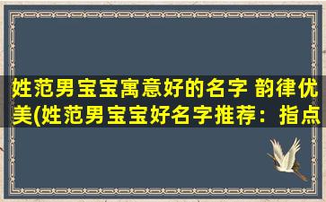 姓范男宝宝寓意好的名字 韵律优美(姓范男宝宝好名字推荐：指点江山、春风得意、天纵英才、*自在、乐享人生！)